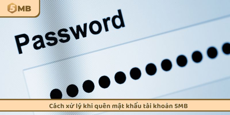 Cách xử lý khi quên mật khẩu tài khoản 5MB