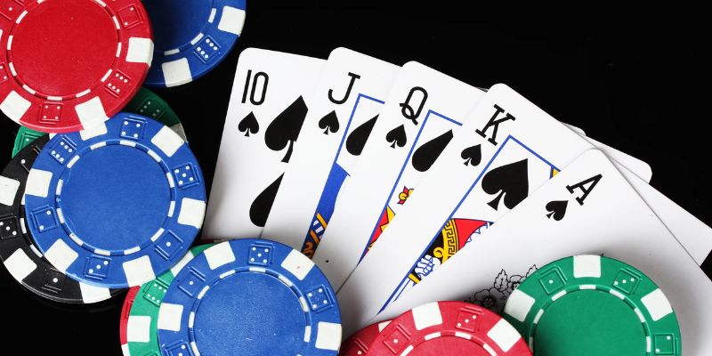 Cái nhìn cơ bản về game bài Catte 5MB